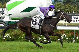 Mabeel triumphs in the Listed Fairdale/Goodwood Studs Flying Handicap. Photo Credit: Race Images, Palmerston North.
